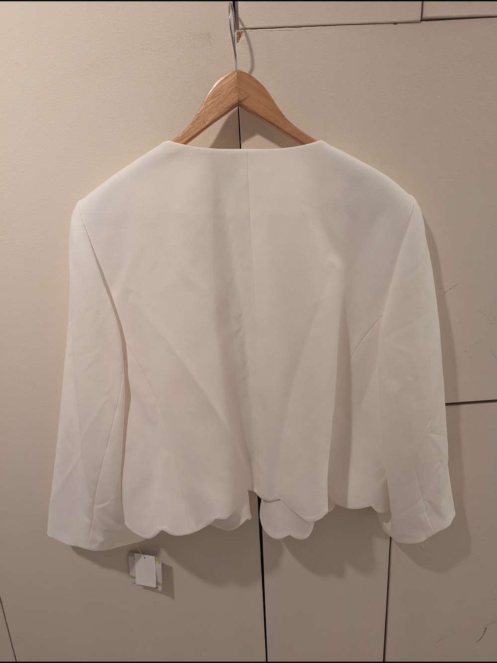 NWT Kasper Women's Cream Scallop-Edge Blazer & Sheath Dress Suit Size 18W - Picture 4 of 13